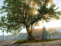 E3 2014: Everybody’s Gone to the Rapture trailer